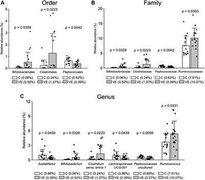 Voluntary exercise does not increase gastrointestinal motility but increases spatial memory, intestinal eNOS, Akt levels, and Bifidobacteria abundance in the microbiome